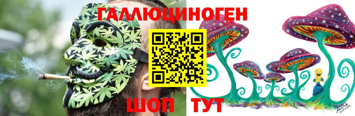 Новомосковск  Галлюциногенные грибы мицелий  Вход с VPN 